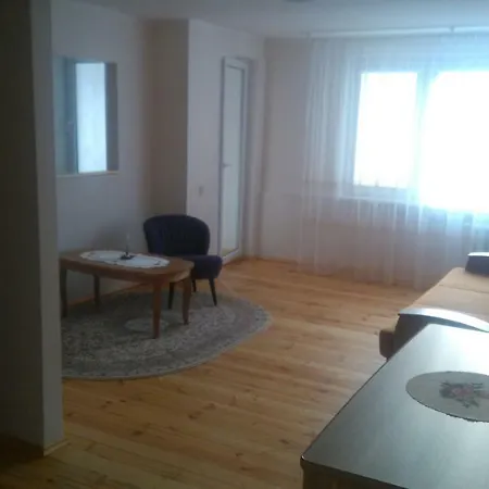Vieno Kambario Butas Apartment