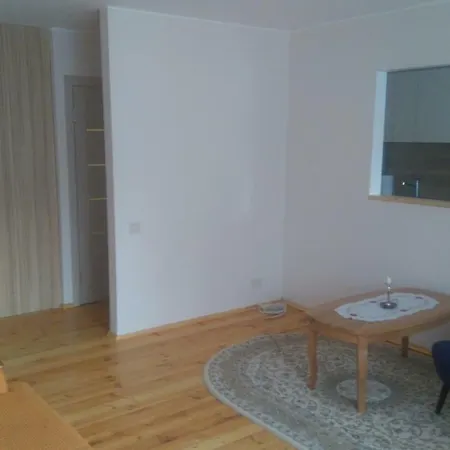 Vieno Kambario Butas Apartment